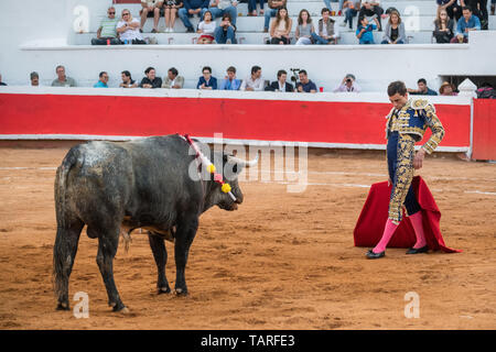 Torero spagnolo Paco cui Urena suona con un toro nella Plaza de Toros Marzo 3, 2018 in San Miguel De Allende, Messico. Foto Stock