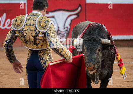 Torero spagnolo Paco cui Urena suona con un toro nella Plaza de Toros Marzo 3, 2018 in San Miguel De Allende, Messico. Foto Stock