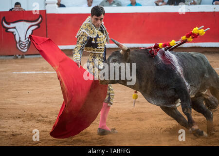 Torero spagnolo Paco cui Urena suona con un toro nella Plaza de Toros Marzo 3, 2018 in San Miguel De Allende, Messico. Foto Stock