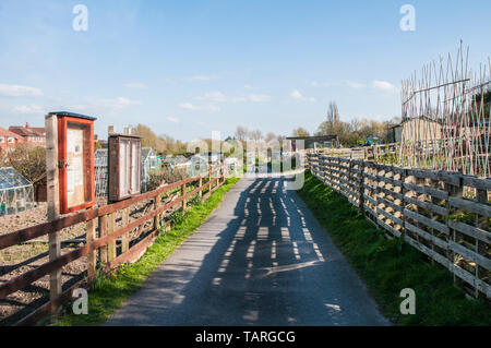 Bacheca e tarmec metaled road nel riparto sito ombre presenti sul strada attraverso la recinzione di reticolo in una giornata di sole Foto Stock