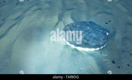 Madre di perle sott'acqua. Chiuso conchiglia di mare underwater auto-luminescente dall'interno. Ostriche e perle della subacquea fondale sabbioso. La luce del sole essere Foto Stock