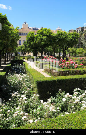 I giardini paesaggistici del Jardines de Pedro Luis Alonso, accanto al Municipio, nel centro di Malaga sulla Costa del Sol, Spagna Foto Stock