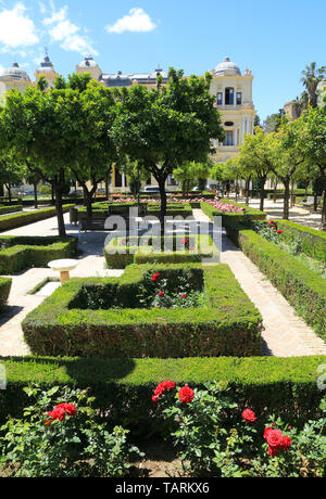 I giardini paesaggistici del Jardines de Pedro Luis Alonso, accanto al Municipio, nel centro di Malaga sulla Costa del Sol, Spagna Foto Stock
