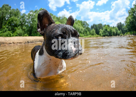 Utilizzando una lente fisheye per arrivare vicino al fiume per una in bianco e nero un francese in acqua Foto Stock