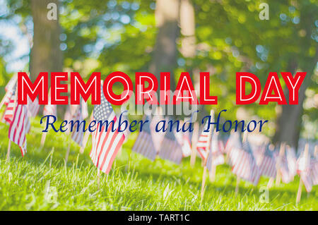 Il Memorial Day, ricordare e onorare. Piccole bandierine americane su un prato verde nel parco. Foto Stock