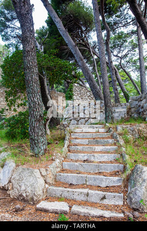 Bellissimi sentieri del Parco Gradac in Dubrovnik Foto Stock