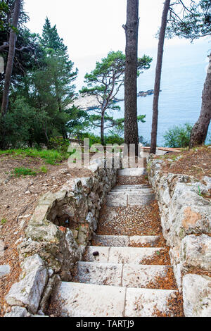 Bellissimi sentieri del Parco Gradac in Dubrovnik Foto Stock