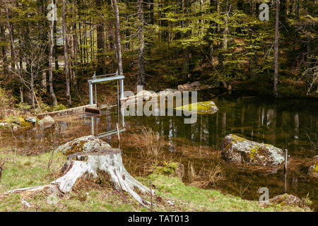 Paesaggio forestale con il lago, watergate e pietre di muschio. Foresta nera in Germania. Foto Stock