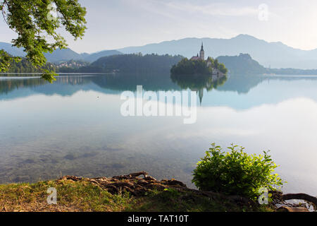Bella vista. Lago, montagna, riflessione. Il lago di Bohinj. La Slovenia Foto Stock