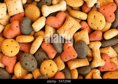 Cane tratta. Close up di varie forme di biscotto per cani Foto Stock