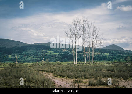 Paludi e acquitrini nella Riserva della Biosfera di Urdaibai nei Paesi Baschi, Spagna Foto Stock