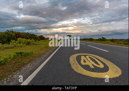 40 km/h il limite massimo di velocità segno dipinto in giallo sull'asfalto della strada nuova foresta, Hampshire, Regno Unito Foto Stock