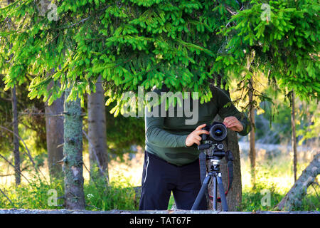 Un fotografo imposta una telecamera e nasconde nell'ombra di un albero dietro a rami di abete rosso in corrispondenza del bordo della foresta contro una soleggiata giornata estiva. Foto Stock