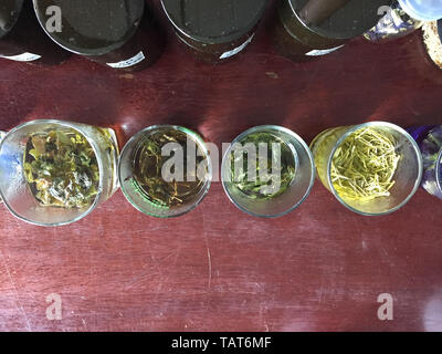 Ingredienti di Stevia tè . Essiccato il tè alle erbe Foto Stock