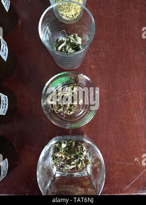 Ingredienti di Stevia tè . Essiccato il tè alle erbe Foto Stock