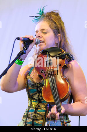 Athene Roberts di Cornish banda 3 Daft scimmie effettuando al Wickham Festival, UK. Agosto 15, 2014 Foto Stock