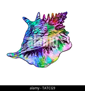 Seashell isolato illustrazione, dipinta a mano colorati acquerelli astratti turchese, viola, spruzzi di rosa Foto Stock
