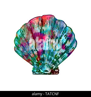 Seashell isolato illustrazione, dipinta a mano colorati acquerelli astratti, turchese blu, rosso schizzi Foto Stock