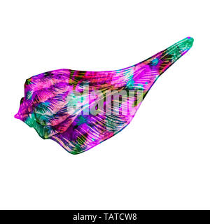 Seashell isolato illustrazione, dipinta a mano colorati acquerelli astratti magenta, turchese, spruzzi di colore blu Foto Stock