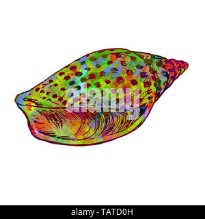 Seashell isolato illustrazione, dipinta a mano colorati acquerelli astratti giallo, verde, rosso schizzi Foto Stock