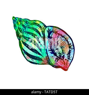 Seashell isolato illustrazione, dipinta a mano colorati acquerelli astratti, turchese blu, rosso schizzi Foto Stock