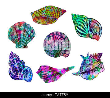 Collezione di conchiglie isolato illustrazione, dipinta a mano colorati acquerelli astratti schizzi Foto Stock