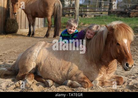 I bambini e i cavalli islandesi Foto Stock
