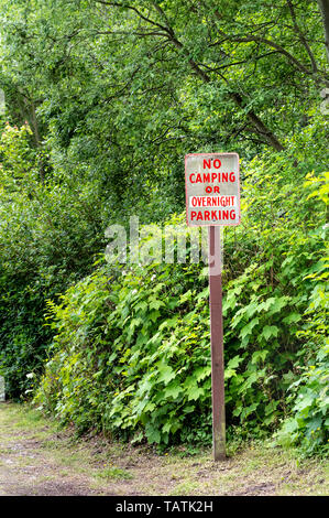 Nessun campeggio o parcheggio notturno segno di avvertimento sul montante con caratteri rossi sulla strada rurale accanto a verdi alberi. Foto Stock