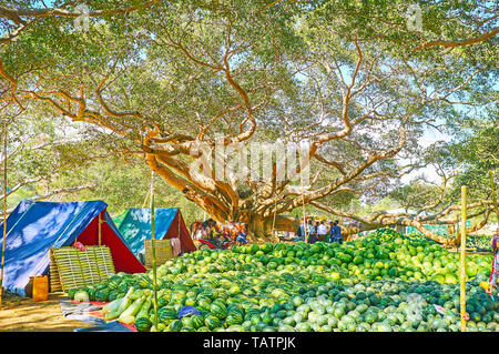 PINDAYA, MYANMAR - 19 febbraio 2018: grandi mucchi di verde i cocomeri di attrarre le persone a visitare il mercato di anguria nel vecchio giardino banyan, su Februar Foto Stock