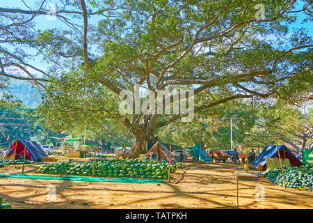 PINDAYA, MYANMAR - 19 febbraio 2018: La vasta gamma di prodotti freschi Cocomeri di bancarelle del mercato di shady banyan giardino, il 19 febbraio in Pindaya. Foto Stock