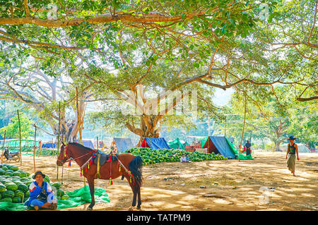 PINDAYA, MYANMAR - 19 febbraio 2018: gli agricoltori offrono gustosi cocomeri e passeggiate a cavallo lungo ombrosi vicoli della vecchia banyan giardino, il 19 febbraio Foto Stock