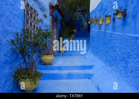 Tradizionale marocchino dettagli architettonici nelle strade della città blu, Chefchaouen, Marocco Foto Stock