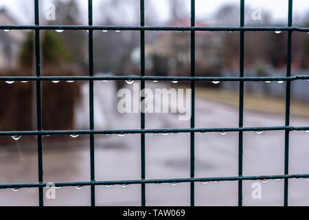 Recinzione dalla griglia di close-up con gocce dopo la pioggia. Foto Stock