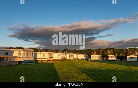 Bullens Bay, Kinsale, Cork, Irlanda. 28 Maggio, 2019. Case mobili illuminato dalla mattina presto luce promette una buona giornata splendente a Bullens Bay, vecchio capo di Kinsale, Co. Cork, Irlanda.-Credito David Creedon / Alamy Live News Foto Stock