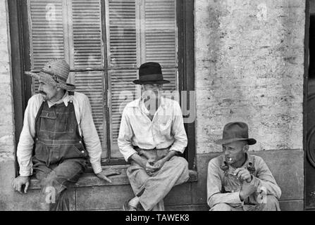 Frank Tengle, Bud i campi e Floyd Burroughs, cotone di mezzadri, Hale County, Alabama. Giugno 1936 Foto Stock