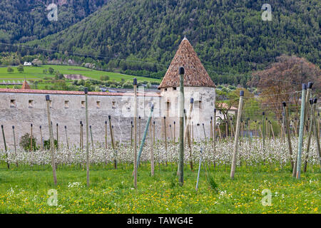 Piccola cittadina medievale di Glorenza in Val Venosta in Alto Adige Foto Stock