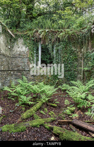 Serre, Baron Hill House, Beaumaris, Anglesey Regno Unito - mansion di Samuel Wyatt per Bulkeley famiglia, abbandonato a causa di morte precoce fiscale 20C Foto Stock