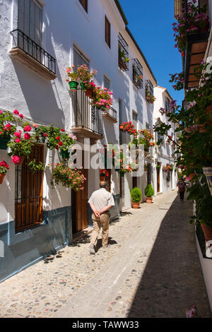 Strada tipica con fiori in Barrio de la Villa, Priego de Cordoba. In provincia di Cordoba, southern Andalusia. Spagna europa Foto Stock