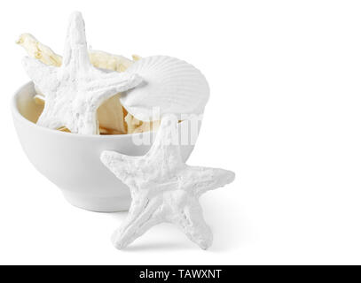 Decorational conchiglie di mare isolato su sfondo bianco Foto Stock