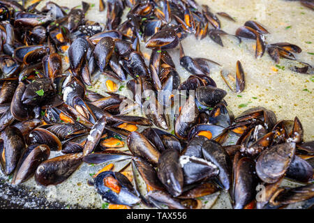 Le cozze al vapore in salsa di vino bianco Foto Stock