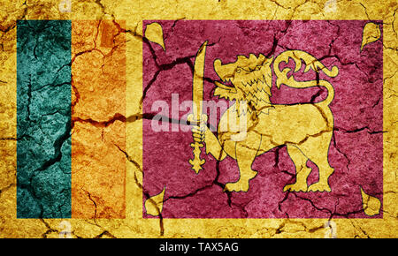 Repubblica democratica socialista di Sri Lanka bandiera sulla terra arida terra sfondo texture Foto Stock