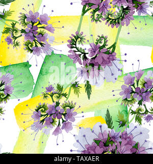 Violetta phaselia foral fiori botanica. Wild molla a balestra di fiori selvaggi. Illustrazione ad acquerello set. Disegno ad acquerello fashion aquarelle. Seamless bac Foto Stock