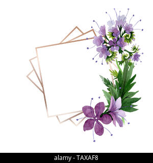 Violetta phaselia foral fiori botanica. Wild molla a balestra di fiori selvaggi isolati. Acquerello illustrazione dello sfondo impostato. Disegno ad acquerello fashion aqu Foto Stock