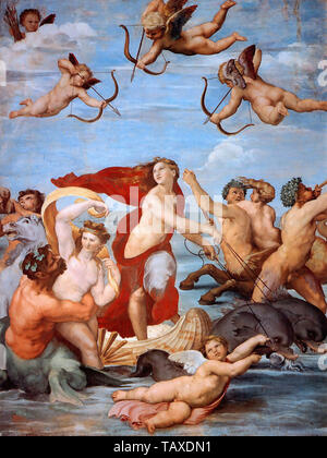 Raffaello Sanzio Da Urbino - Raffaello - Trionfo di Galatea 1511 Foto Stock