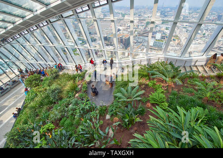 Londra 20 FENCHURCH STREET IL WALKIE TALKIE grattacielo Sky Garden e piante con persone godendo della vista sul fiume Tamigi e ST PAULS AREA Foto Stock