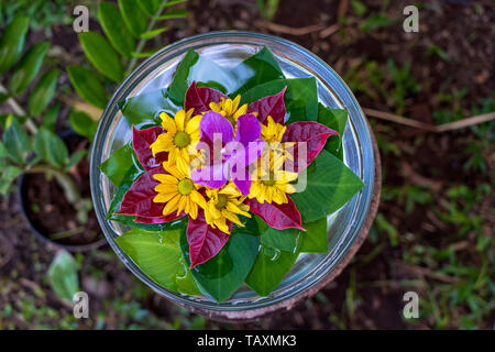 Vaso è riempito con acqua e decorate con foglie verdi e splendidi fiori in un giardino tropicale. Ubud, isola di Bali, Indonesia . Close up, vista dall'alto Foto Stock