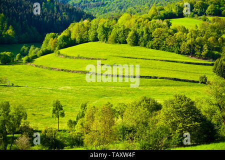 Idillio verde in Rhon nel cuore della Baviera, Germania Foto Stock