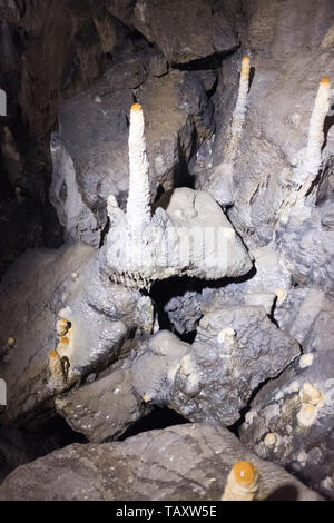 Dh stalagmiti grotte UK Pooles Cavern Buxton Country Park di grotte di calcare derbyshire Foto Stock