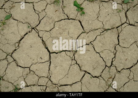 Terra secche e screpolate dalla mancanza di pioggia. Foto Stock