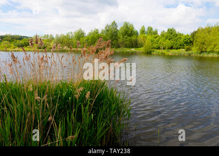 Senso valle valle di rilevamento LEICESTERSHIRE REGNO UNITO Foto Stock